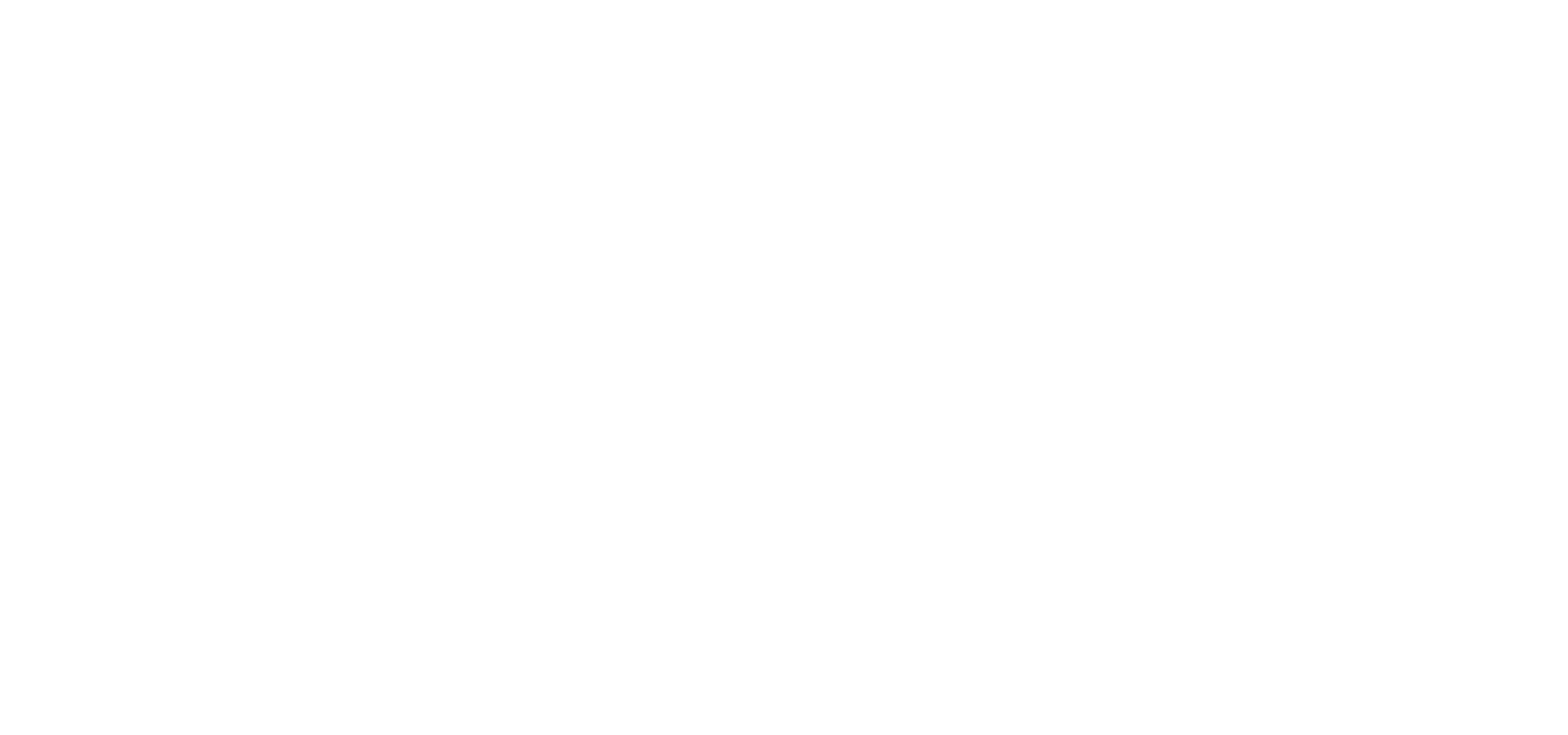 Logo_EBM_Weiss.png